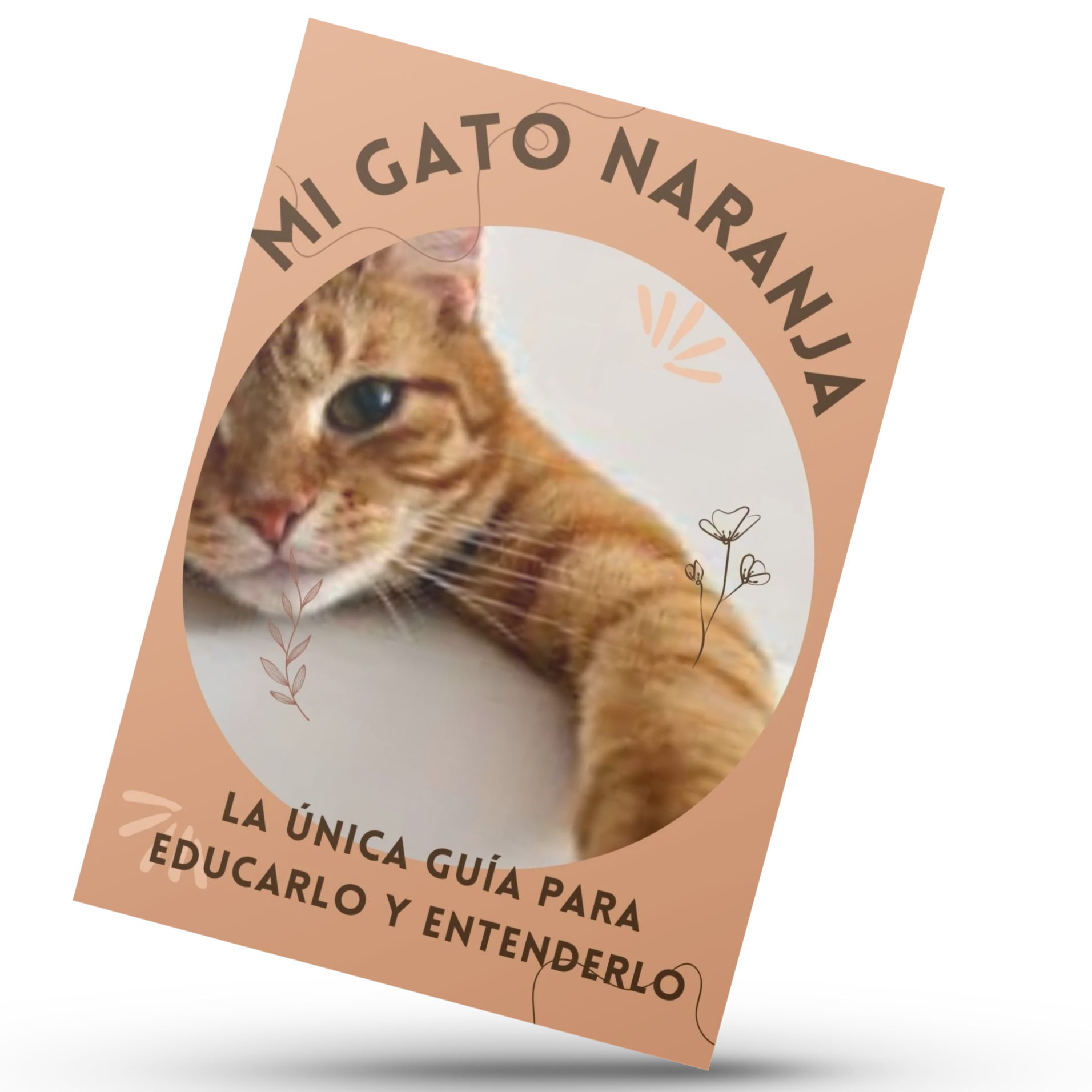 Mi gato naranja. La única guía para educarlo y entenderlo.